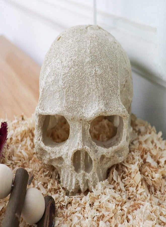 Oooct Snake Hideout, Reptile Aquarium Skull Decor, Resin Skeleton Head Fish Hide, Tank Terrarium Accessories, Reptile Hides and Caves for Fish Bearded Dragon Ball Python Leopard Gecko 4.7 × 3.5 × 3.7 Inch - Image 2
